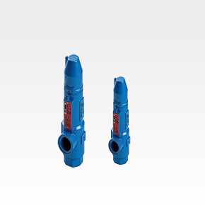 Schwerll Industrial Fluid Power Equipment - Gas Safety Valve And Gas Rupture Disc